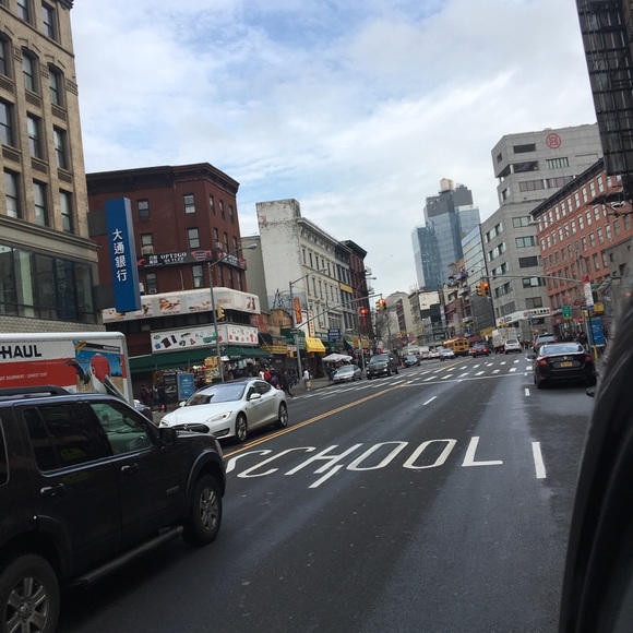 Meet your Posher, Riley - Picture 1 of 1